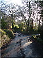 Lane near Ashcombe Farm