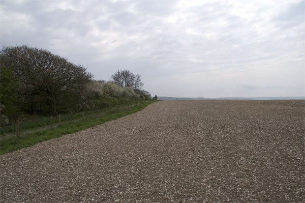 Field by Wessex Ridgeway