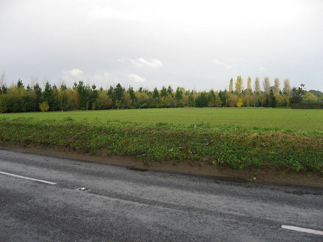Road, Field, Plantation