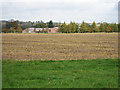 Corrugated Iron