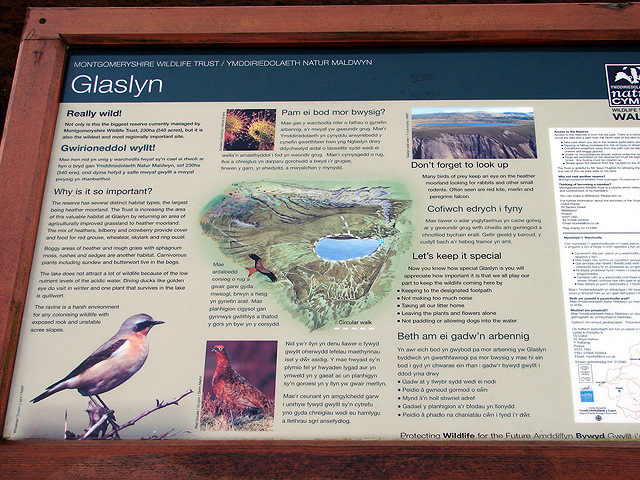 Glaslyn Information Board