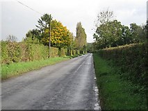 TG0901 : The Road To Wymondham by Roger Gilbertson