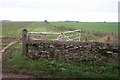 Cotswold wall and broken gate