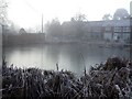 Frozen Village Pond, Wingrave