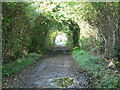 The Lane From Dereham Windmill