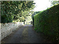 The Lane Beside The Church