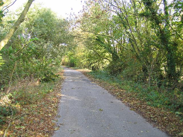 Lane leading to Shorncote