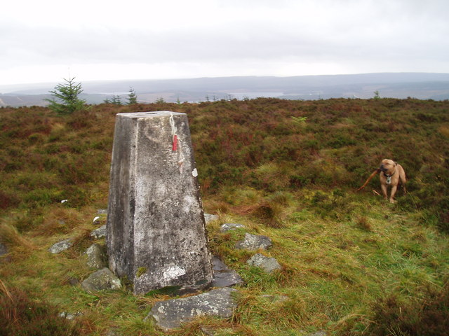 Greys Pike Trig point