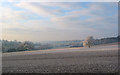 Winter view of Lane End Farm from road above Lane End Copse