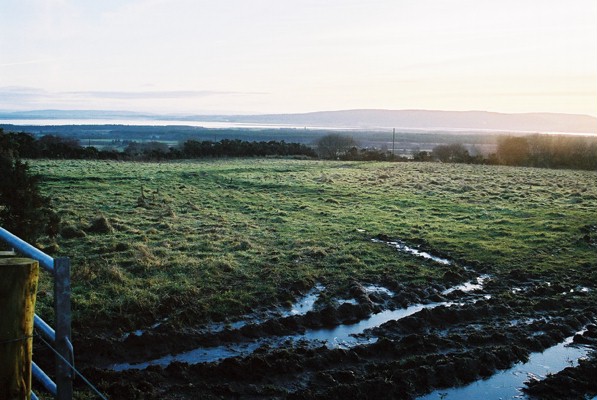 Field at Birichen overlooking Dornoch Firth