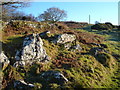 Rocks by the path above Cudlipptown