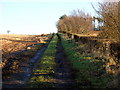 Track Near Barmuir