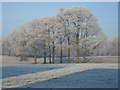 Frosty View from Pilsley Road towards Clay Cross Hall