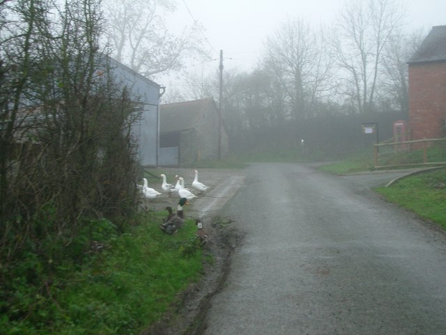Ward Farm, Westhope