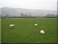 Rheidol Valley on Christmas Day