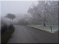 Road at Greenfield Manor