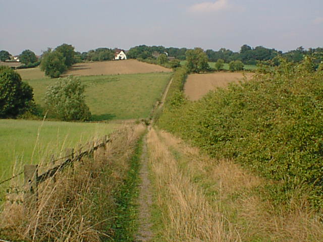 Old Lad's Lane View Towards Tupton