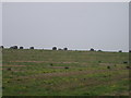 Bales on the hill near Hinton Parva