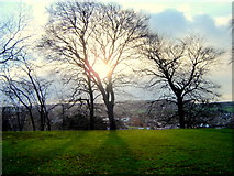 SJ2364 : Setting sun over the motte on Bailey Hill in Mold by Aaron Thomas