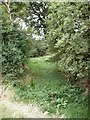 Dry pond off Ironwell Lane