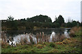 Irrigation pond to the south of Spynie Castle.