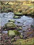 SX5481 : Stepping stones over Baggator Brook by Derek Harper