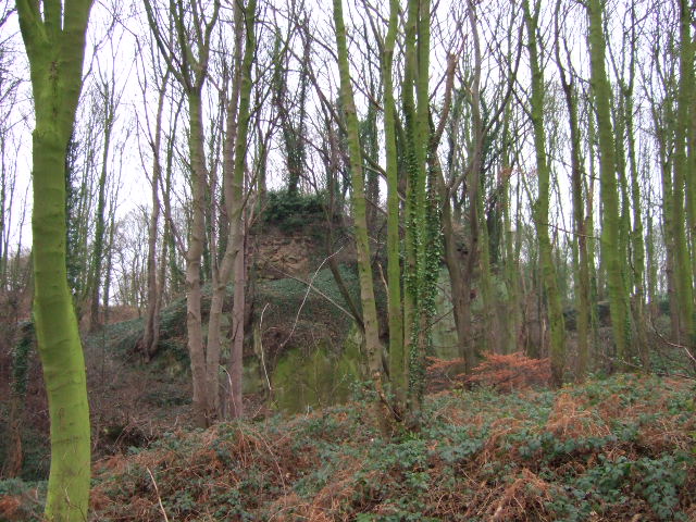 Overgrown Remains of Horsley Castle
