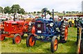 Masham Show Field