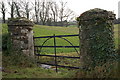 Gate, Myra Road near Strangford