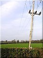 Electric Poles at Brookend