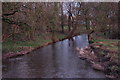 The River Lagan at Magheralin (2)