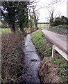 Stream at Raithby