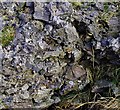 NM6983 : Vitrified stones, Borrodale fort by Jim Bain