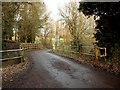 Bridge on Elms Hall Road