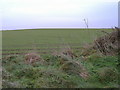 A Yorkshire Wolds Field