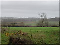 View of Bussey Stool Farm