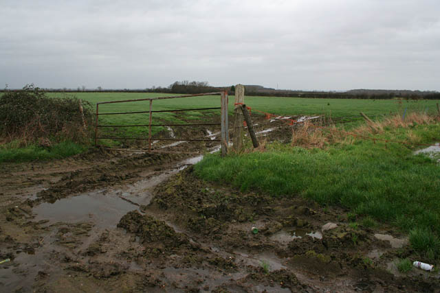 Muddy gateway on Claypole Lane