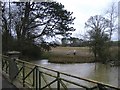 River Avon from Cow bridge