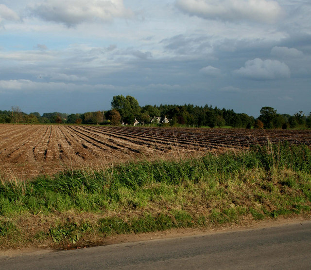 Norfolk Farmland