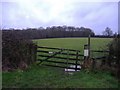 Footpath leading to Old Copse