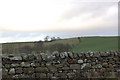 Fields between Gilsland and Greenhead