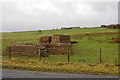 Disused mine shaft near Coanwood