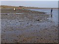 SZ3695 : Mud south of Tanners Lane at low tide, New Forest by Jim Champion