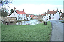 SE9939 : Bishop Burton Houses & Small Pond by Gordon Kneale Brooke