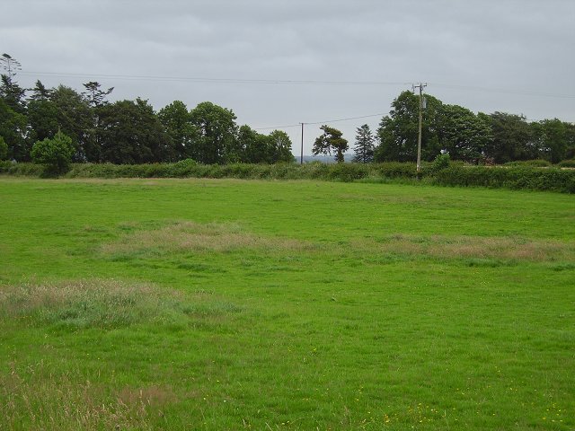 Field, Ballykeeran