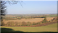 Farmland west of Godsfield Copse