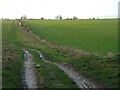 Unmarked farm track