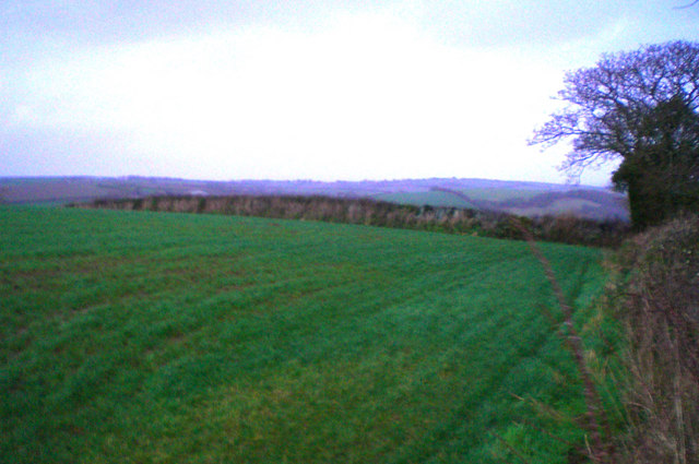 Field near Gorran High Lanes