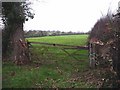 Field gate near Moston