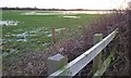 Fences, hedge & floods